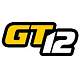 Use this group to share set up, discuss race meetings and clubs that race this class and also feel free to sell GT12 parts and accessories.