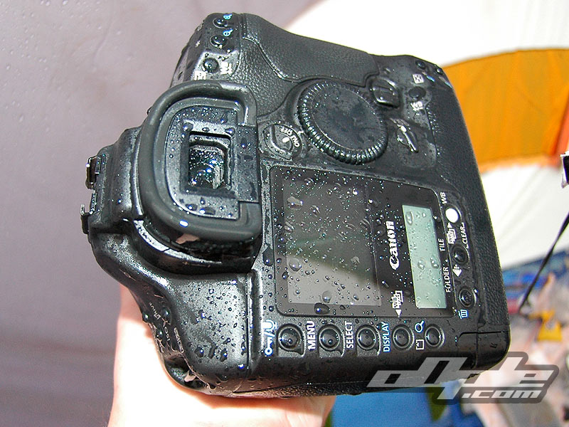Thank goodness for waterproof pro cameras
