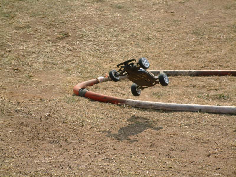 flying pred!