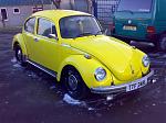 yellow bug